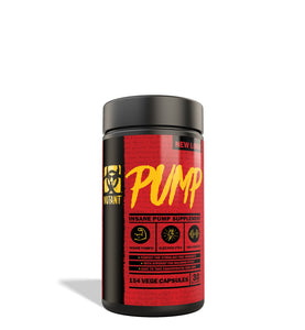 Pump